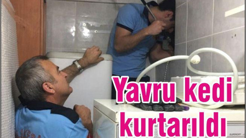 YAVRU KEDİ KURTARILDI