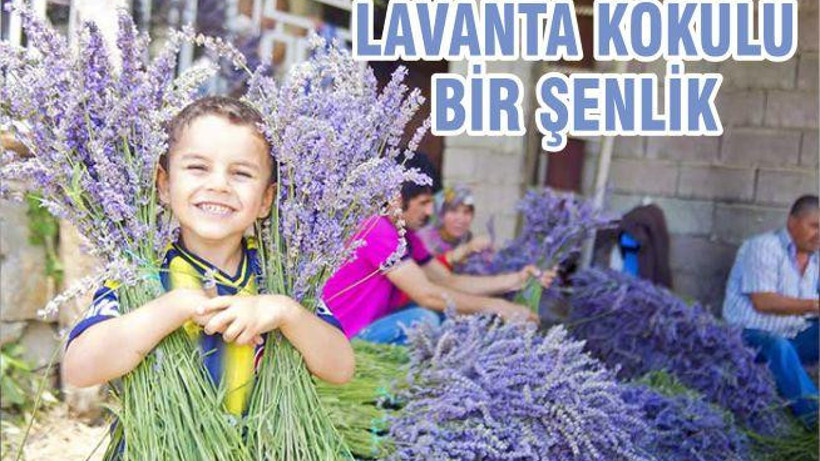 LAVANTA KOKULU BİR ŞENLİK