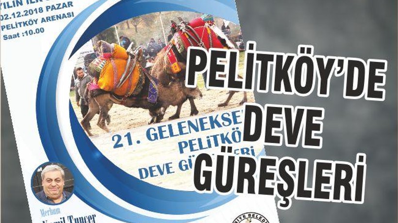 PELİTKÖY’DE DEVE GÜREŞLERİ