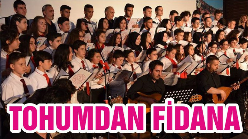 TOHUMDAN FİDANA
