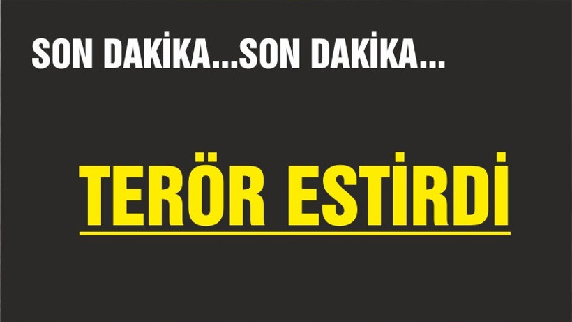 EDREMİT’TE TERÖR ESTİRDİ