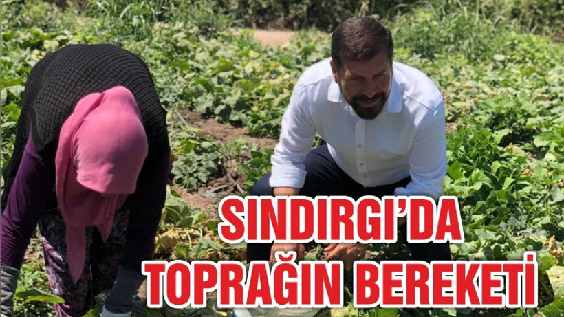 SINDIRGI’DA TOPRAĞIN BEREKETİ