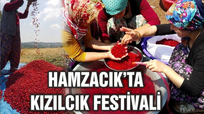 HAMZACIK’TA KIZILCIK FESTİVALİ