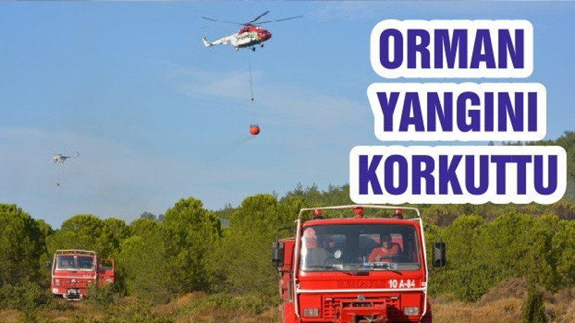 ORMAN YANGINI KORKUTTU