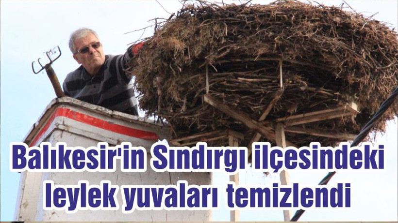 Balıkesir'in Sındırgı ilçesindeki leylek yuvaları temizlendi
