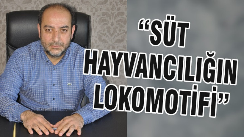 “SÜT HAYVANCILIĞIN LOKOMOTİFİ”