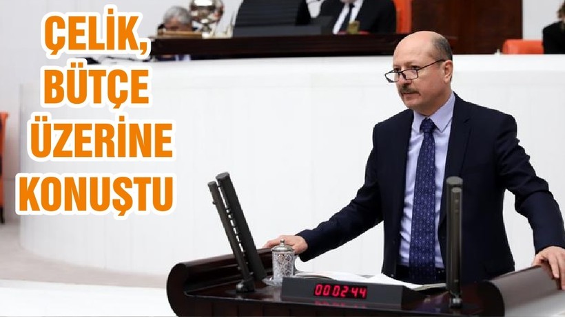 ÇELİK, BÜTÇE ÜZERİNE KONUŞTU