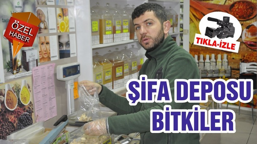ŞİFA DEPOSU BİTKİLER
