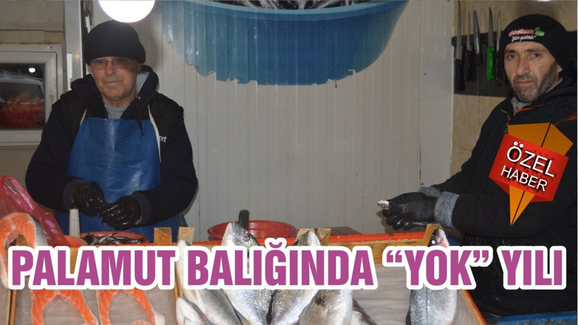 PALAMUT BALIĞINDA “YOK”YILI
