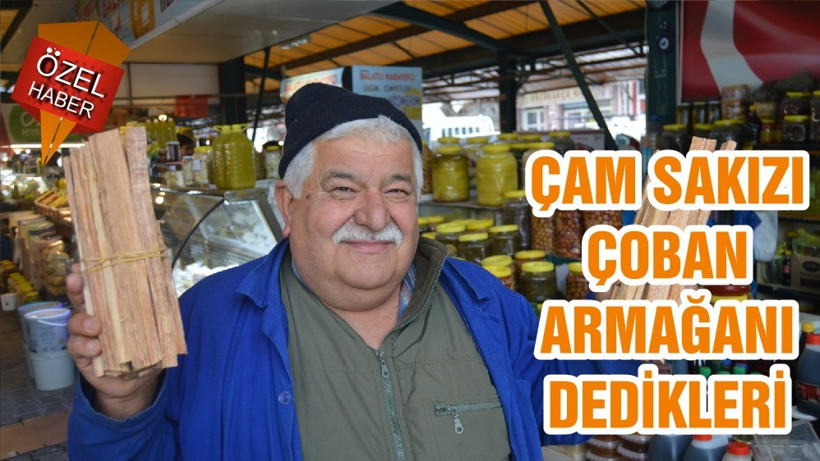 ÇAM SAKIZI ÇOBAN ARMAĞANI DEDİKLERİ