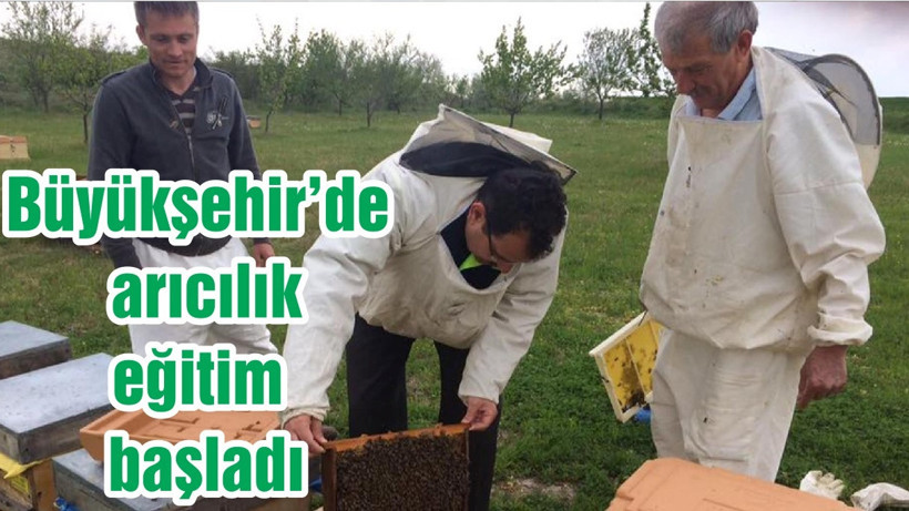 Büyükşehir’de arıcılık eğitim başladı