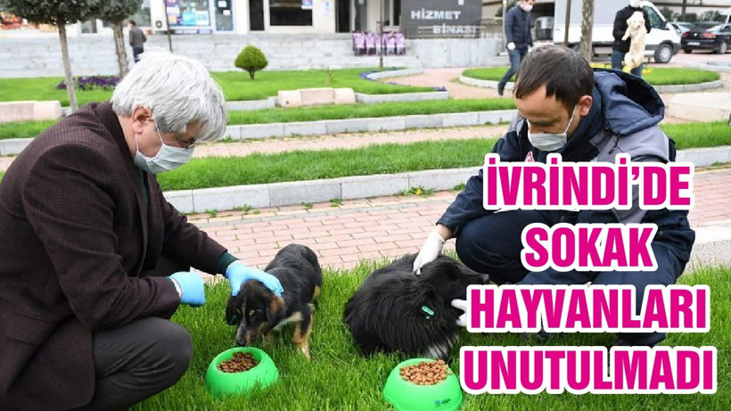 İVRİNDİ’DE SOKAK HAYVANLARI UNUTULMADI