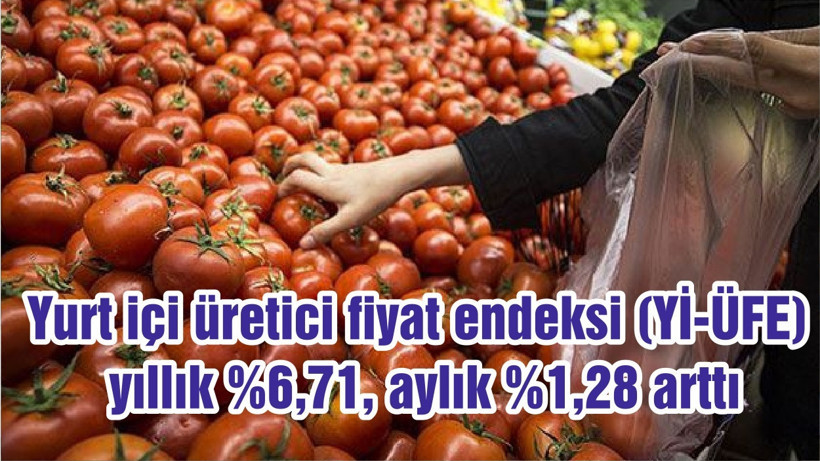 Yurt içi üretici fiyat endeksi (Yİ-ÜFE) yıllık %6,71, aylık %1,28 arttı