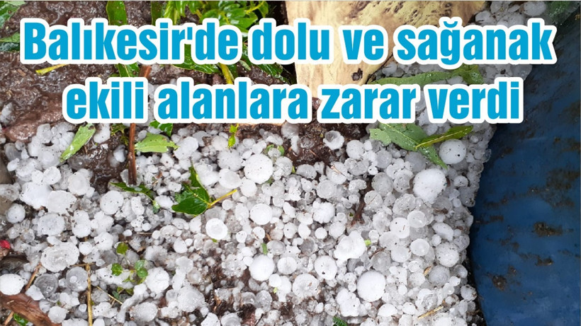 Balıkesir'de dolu ve sağanak ekili alanlara zarar verdi