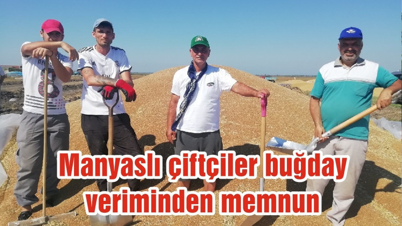 Manyaslı çiftçiler buğday veriminden memnun