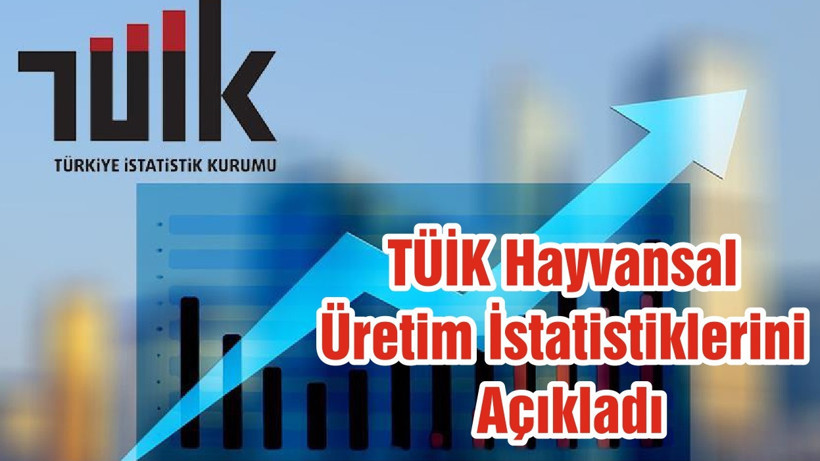 TÜİK Hayvansal Üretim İstatistiklerini Açıkladı