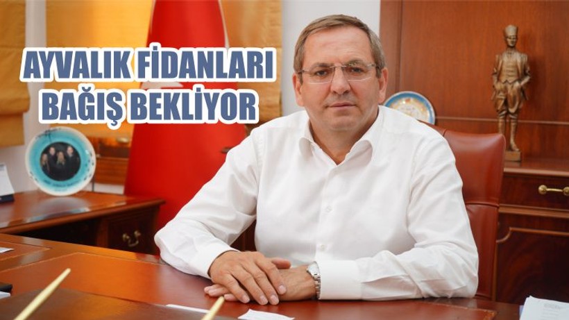 AYVALIK FİDANLARI BAĞIŞ BEKLİYOR