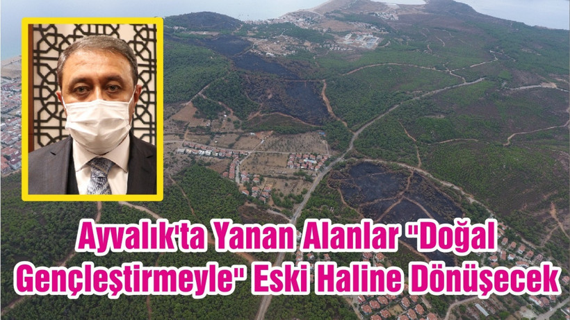 Ayvalık'ta Yanan Alanlar "Doğal Gençleştirmeyle" Eski Haline Dönüşecek