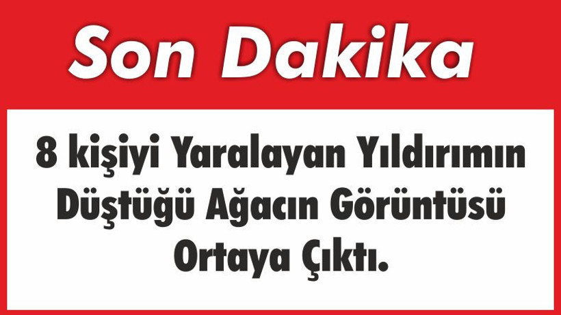 8 Kişiyi Yaralayan Yıldırım Ağacı Böyle Yarmış