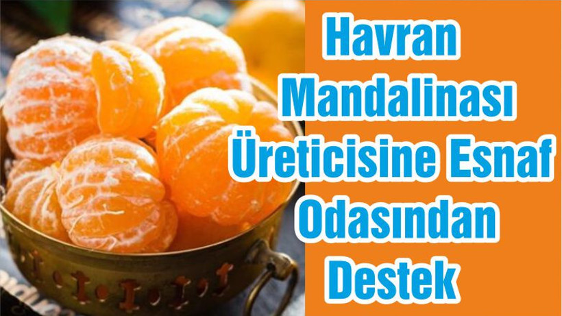 Havran Mandalinası Üreticisine Esnaf Odasından Destek
