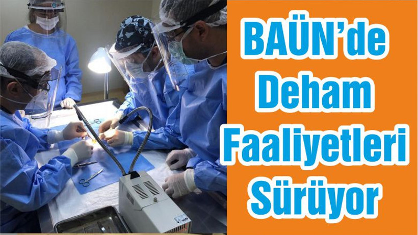 BAÜN’de Deham Faaliyetleri Sürüyor