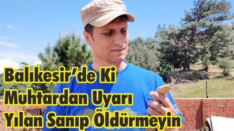 Balıkesir’de Ki Muhtardan Uyarı: "Yılan Sanıp Öldürmeyin"