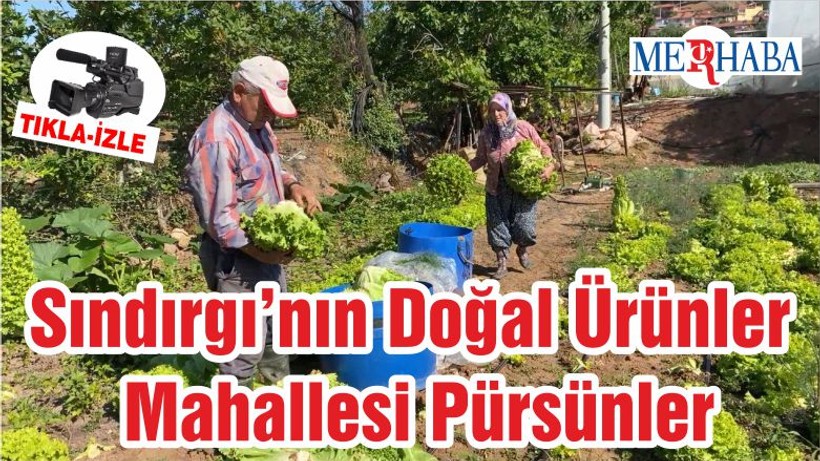 Sındırgı’nın Doğal Ürünler Mahallesi Pürsünler