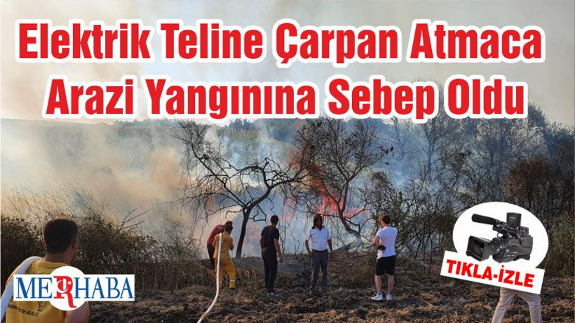 Elektrik Teline Çarpan Atmaca Arazi Yangınına Sebep Oldu