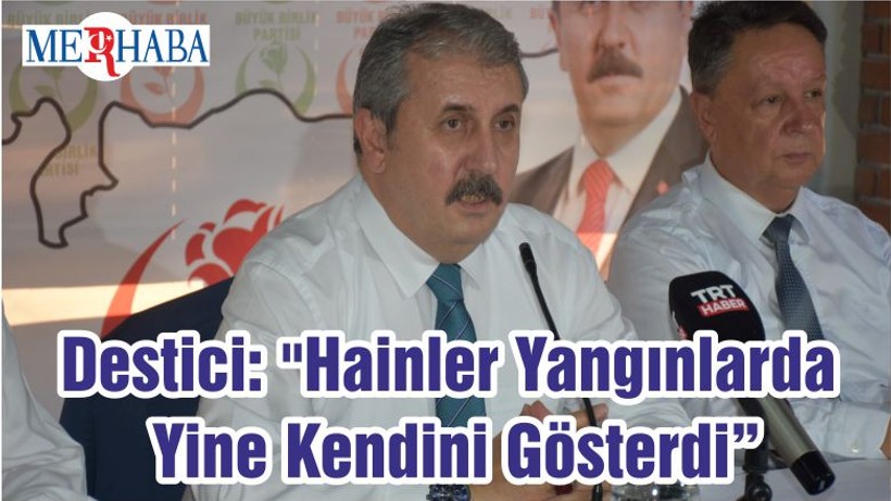 Destici: "Hainler Yangınlarda Yine Kendini Gösterdi"