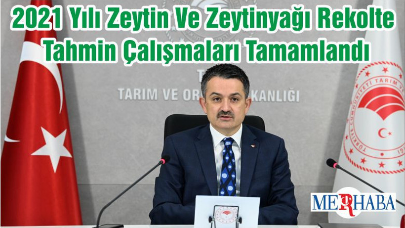 2021 Yılı Zeytin Ve Zeytinyağı Rekolte Tahmin Çalışmaları Tamamlandı