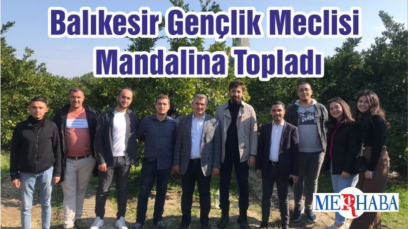 Balıkesir Gençlik Meclisi Mandalina Topladı