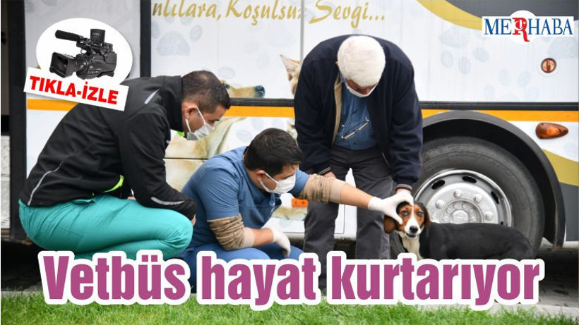 Vetbüs hayat kurtarıyor