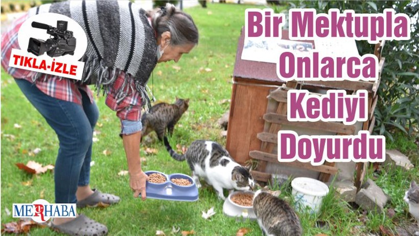 Bir Mektupla Onlarca Kediyi Doyurdu