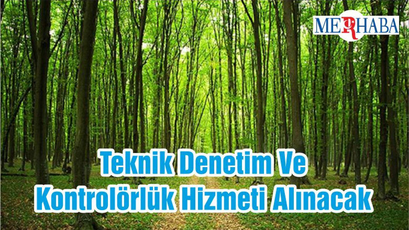 Teknik Denetim Ve Kontrolörlük Hizmeti Alınacak