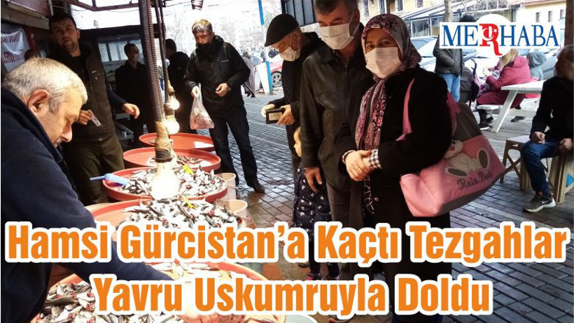 Hamsi Gürcistan’a Kaçtı Tezgahlar Yavru Uskumruyla Doldu