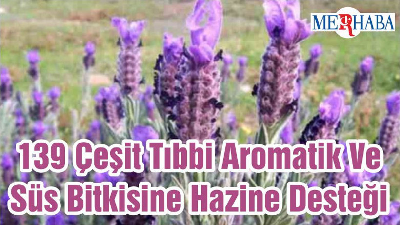 139 Çeşit Tıbbi Aromatik Ve Süs Bitkisine Hazine Desteği