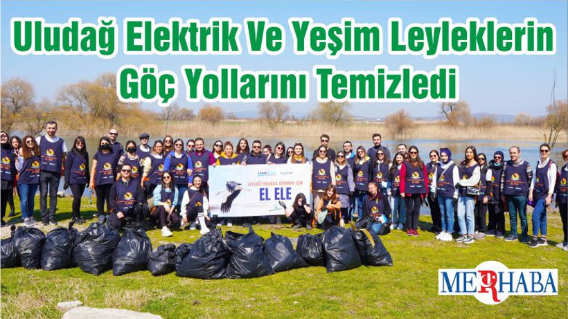 Uludağ Elektrik Ve Yeşim Leyleklerin Göç Yollarını Temizledi