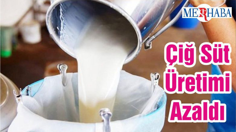 Çiğ Süt Üretimi Azaldı