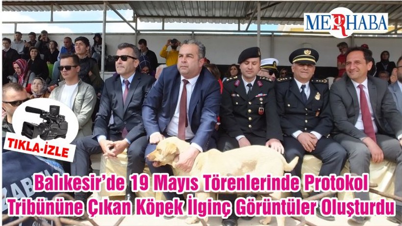 Balıkesir’de 19 Mayıs Törenlerinde Protokol Tribününe Çıkan Köpek İlginç Görüntüler Oluşturdu
