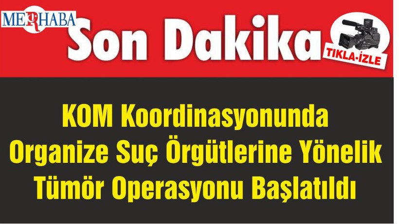 KOM Koordinasyonunda Organize Suç Örgütlerine Yönelik Tümör Operasyonu Başlatıldı