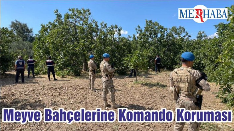 Meyve Bahçelerine Komando Koruması