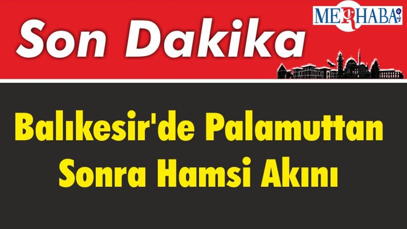 Balıkesir'de Palamuttan Sonra Hamsi Akını