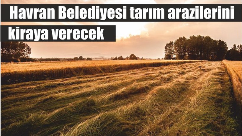 Havran Belediyesi tarım arazilerini kiraya verecek
