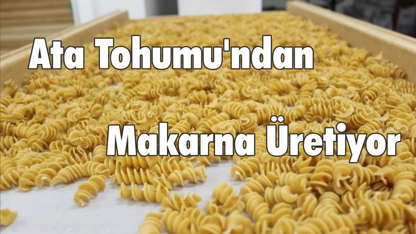 Ata Tohumu'ndan Makarna Üretiyor
