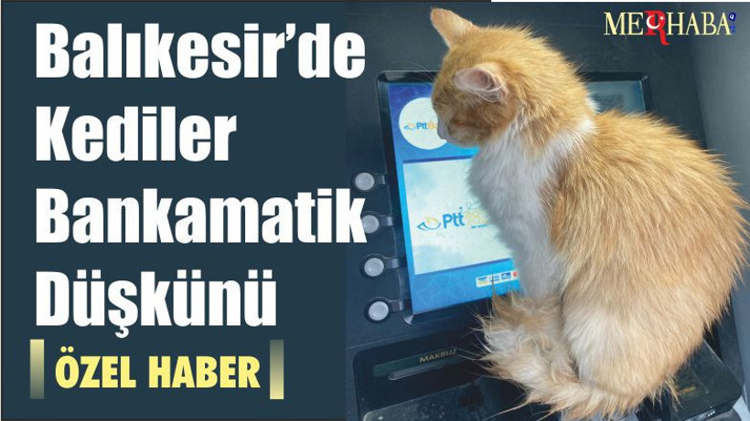 Balıkesir’de Kediler Bankamatik Düşkünü