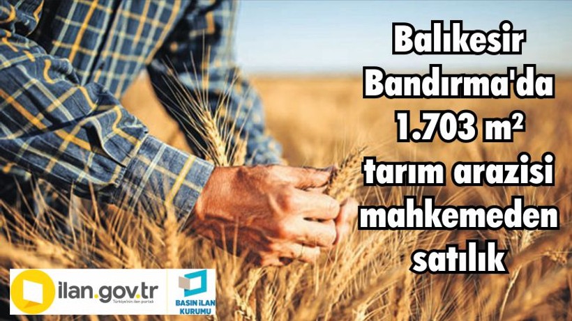 Balıkesir Bandırma'da 1.703 m² tarım arazisi mahkemeden satılık