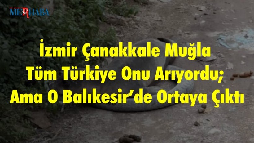 İzmir Çanakkale Muğla Tüm Türkiye Onu Arıyordu; Ama O Balıkesir’de Ortaya Çıktı