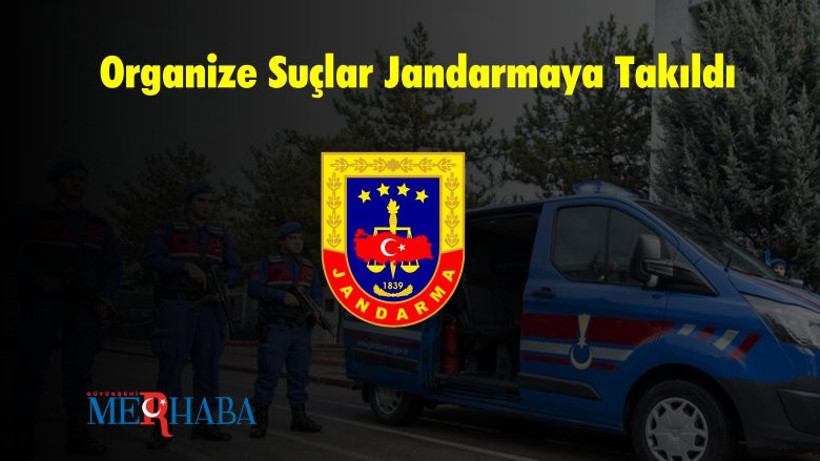 Organize Suçlar Jandarmaya Takıldı