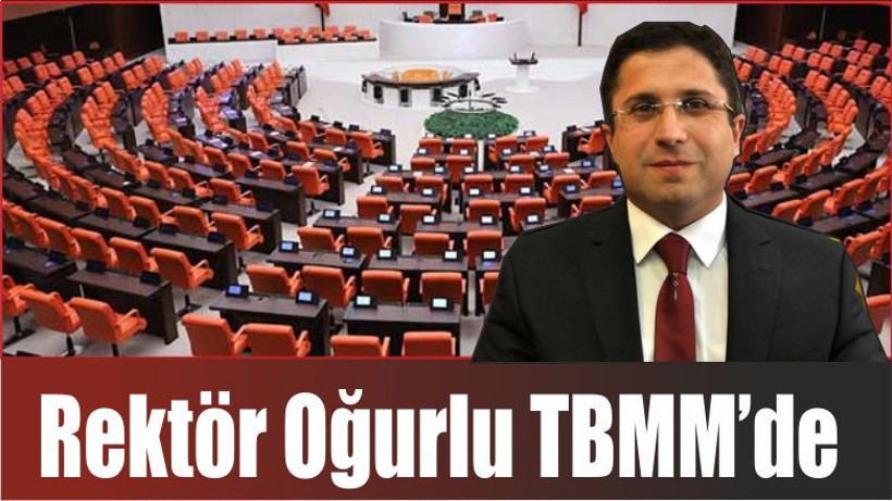 Rektör Oğurlu TBMM’de