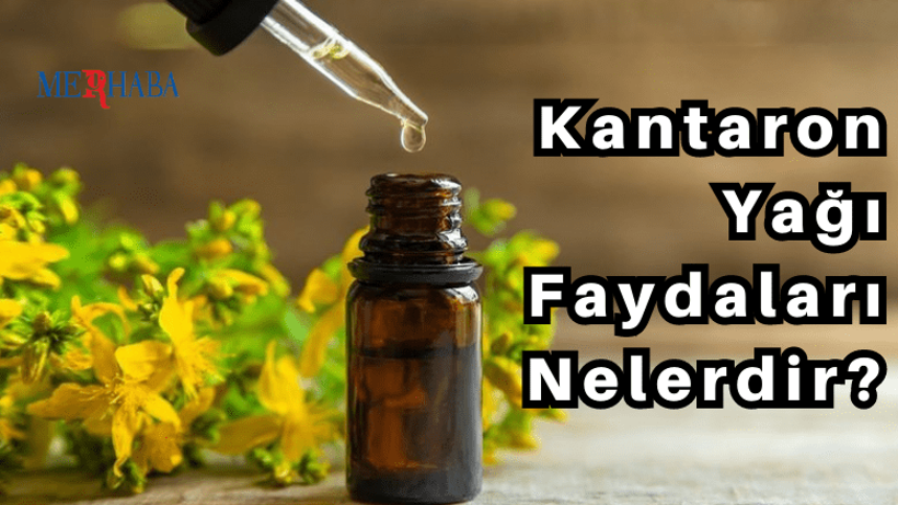 Kantaron Yağı Faydaları Nelerdir?